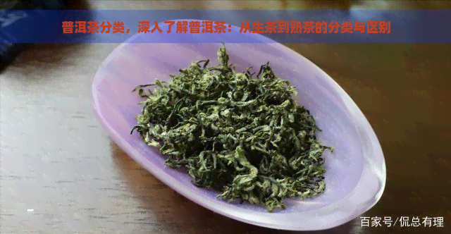 普洱茶分类，深入了解普洱茶：从生茶到熟茶的分类与区别