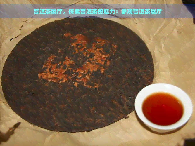 普洱茶展厅，探索普洱茶的魅力：参观普洱茶展厅