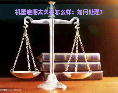 机蜜逾期太久会怎么样：如何处理？