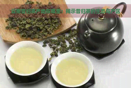 云南昔归茶产地在哪里：揭示昔归茶的生态与产区