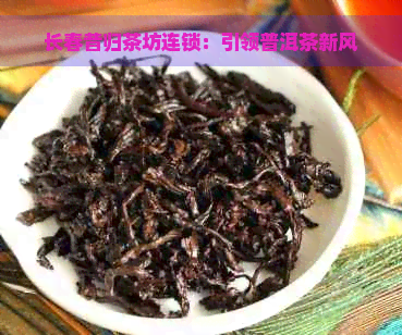 长春昔归茶坊连锁：引领普洱茶新风