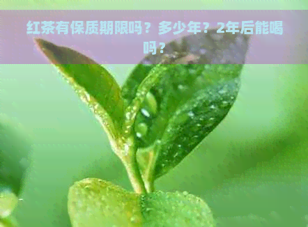 红茶有保质期限吗？多少年？2年后能喝吗？