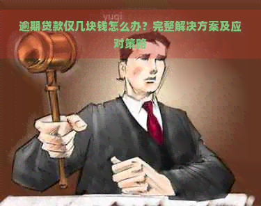 逾期贷款仅几块钱怎么办？完整解决方案及应对策略