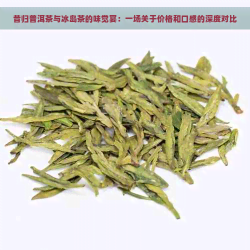 昔归普洱茶与冰岛茶的味觉宴：一场关于价格和口感的深度对比