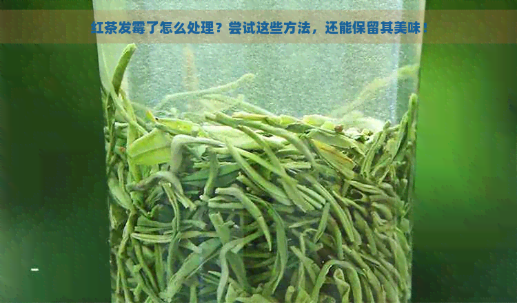 红茶发霉了怎么处理？尝试这些方法，还能保留其美味！