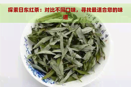 探索日东红茶：对比不同口味，寻找最适合您的味道