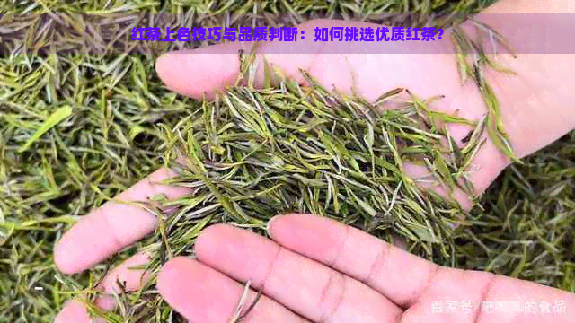 红茶上色技巧与品质判断：如何挑选优质红茶？