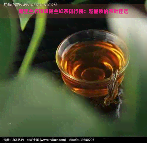 斯里兰卡顶级锡兰红茶排行榜：越品质的茶叶佳选