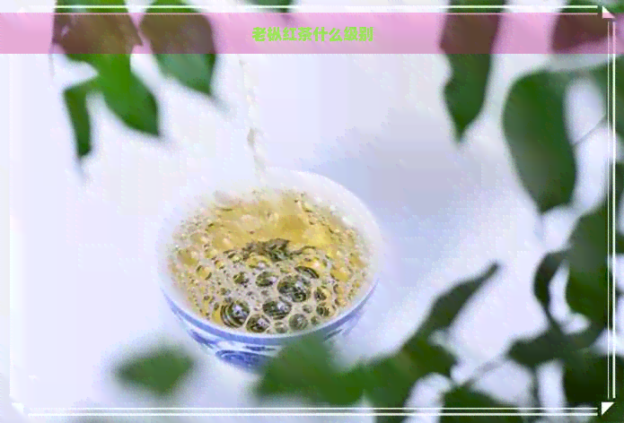 老枞红茶什么级别