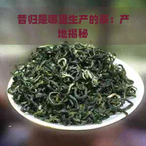 昔归是哪里生产的茶：产地揭秘