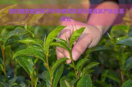 昔归临沧地区寨子分布情况及其与普洱茶产地关系探讨