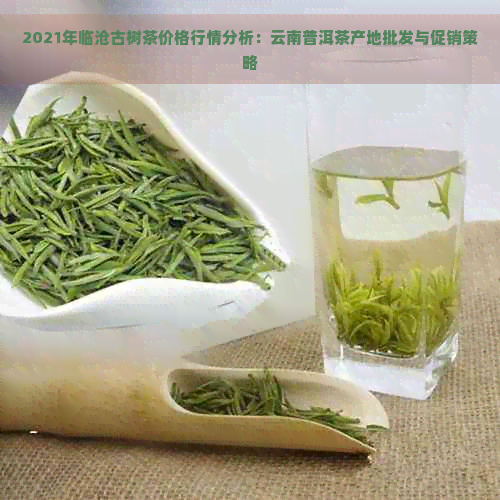 2021年临沧古树茶价格行情分析：云南普洱茶产地批发与促销策略