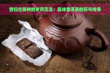 昔归古茶树的岁月沉淀：品味普洱茶的历与传承