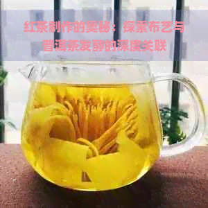 红茶制作的奥秘：探索布艺与普洱茶发酵的深度关联