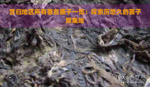 昔归地区所有著名寨子一览：探索历悠久的寨子聚集地