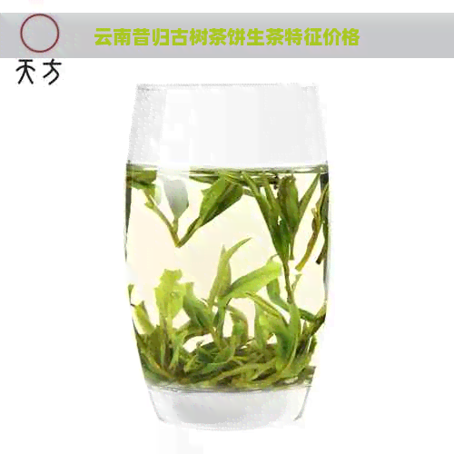 云南昔归古树茶饼生茶特征价格