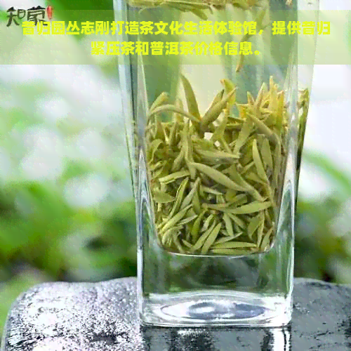 昔归园丛志刚打造茶文化生活体验馆，提供昔归紧压茶和普洱茶价格信息。