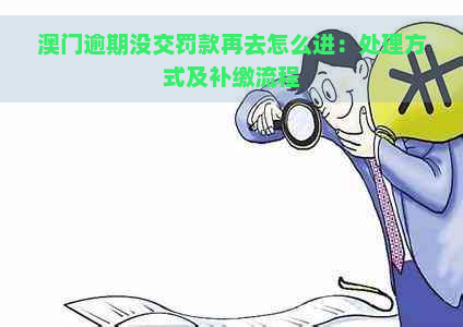 逾期没交罚款再去怎么进：处理方式及补缴流程