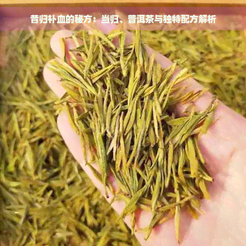 昔归补血的秘方：当归、普洱茶与独特配方解析