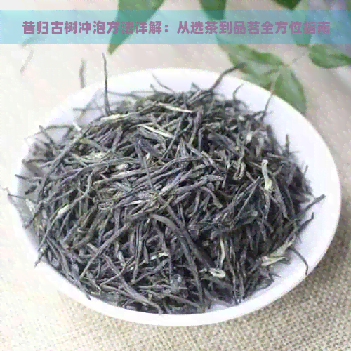 昔归古树冲泡方法详解：从选茶到品茗全方位指南