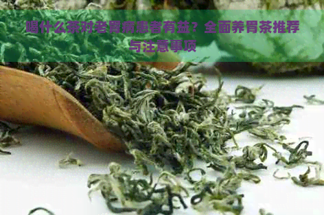 喝什么茶对老胃病患者有益？全面养胃茶推荐与注意事项