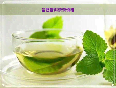 昔归普洱茶茶价格