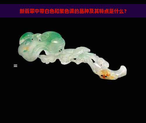 新翡翠中带白色和紫色调的品种及其特点是什么？