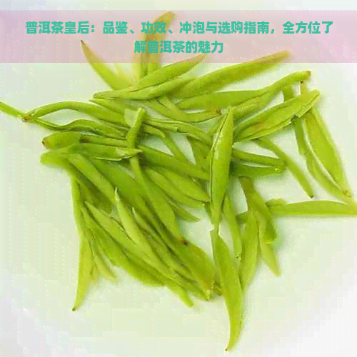 普洱茶皇后：品鉴、功效、冲泡与选购指南，全方位了解普洱茶的魅力