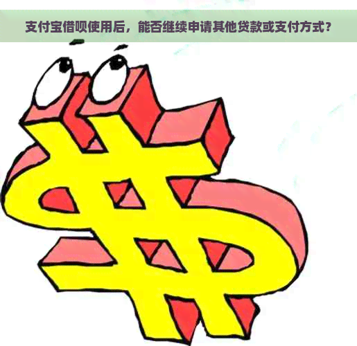 支付宝借呗使用后，能否继续申请其他贷款或支付方式？