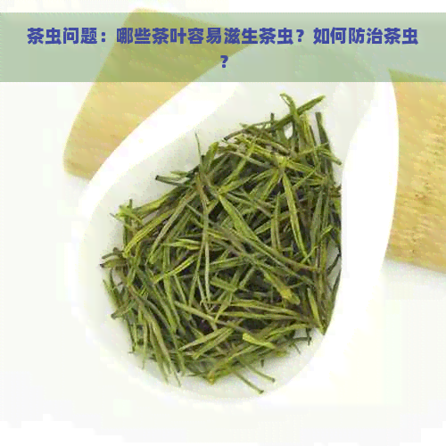 茶虫问题：哪些茶叶容易滋生茶虫？如何防治茶虫？