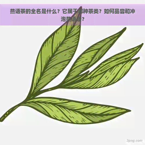 燕语茶的全名是什么？它属于哪种茶类？如何品尝和冲泡燕语茶？