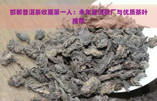 邯郸普洱茶收藏之一人：永年普洱茶厂与优质茶叶推荐