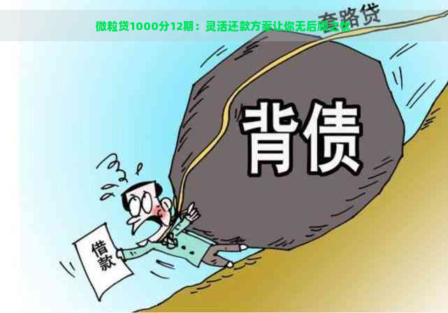 微粒贷1000分12期：灵活还款方案让你无后顾之忧