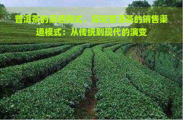 普洱茶的渠道模式，探究普洱茶的销售渠道模式：从传统到现代的演变