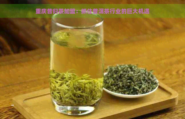 重庆昔归茶加盟：抓住普洱茶行业的巨大机遇