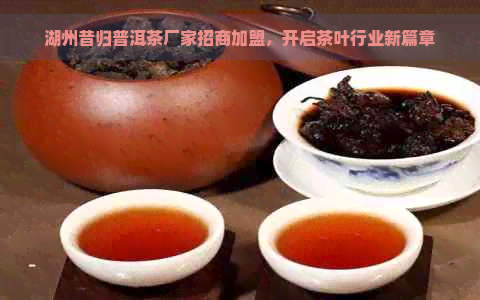 湖州昔归普洱茶厂家招商加盟，开启茶叶行业新篇章