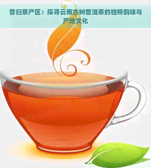 昔归茶产区：探寻云南古树普洱茶的独特韵味与产地文化