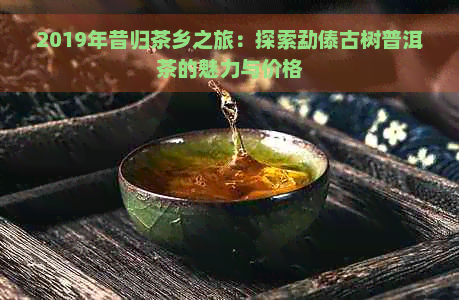 2019年昔归茶乡之旅：探索勐傣古树普洱茶的魅力与价格