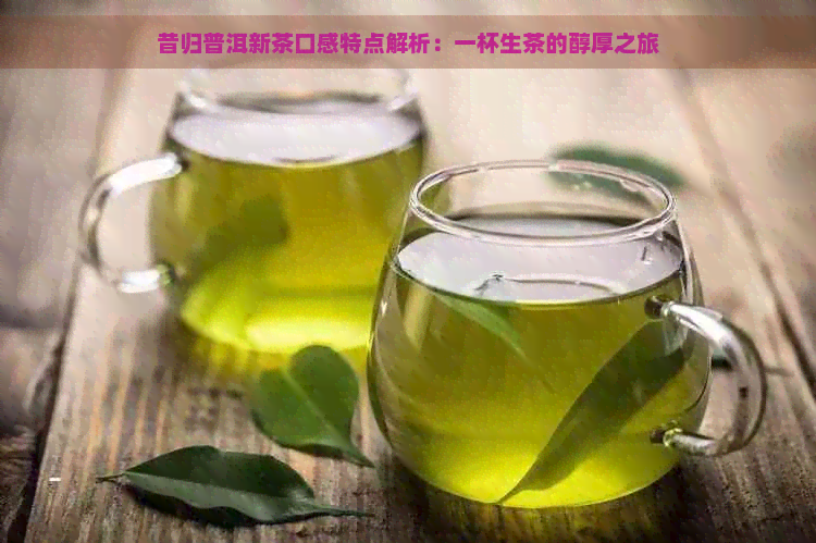 昔归普洱新茶口感特点解析：一杯生茶的醇厚之旅