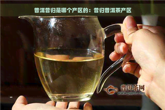 普洱昔归是哪个产区的：昔归普洱茶产区