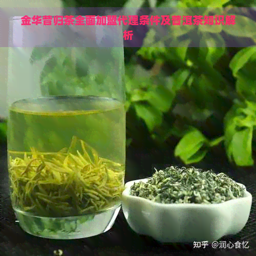 金华昔归茶全面加盟代理条件及普洱茶知识解析