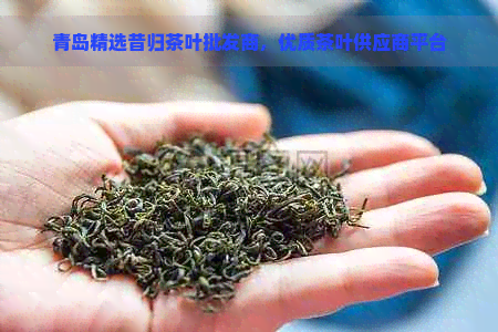 青岛精选昔归茶叶批发商，优质茶叶供应商平台