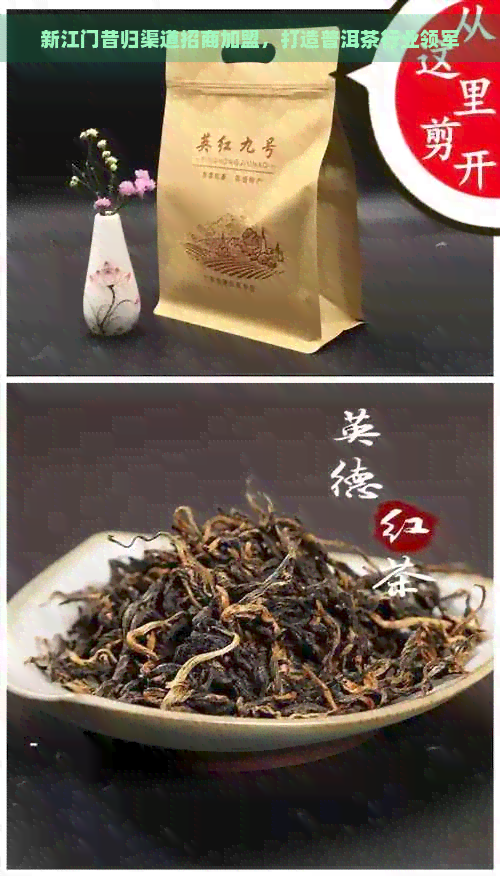 新江门昔归渠道招商加盟，打造普洱茶行业领军