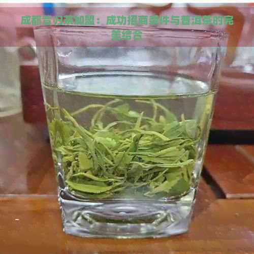 成都昔归茶加盟：成功招商条件与普洱茶的完美结合