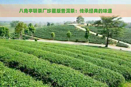 八角亭明茶厂珍藏版普洱茶：传承经典的味道