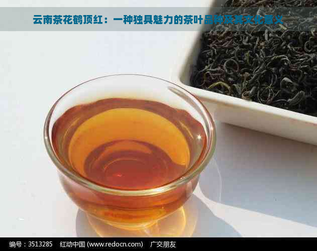 云南茶花鹤顶红：一种独具魅力的茶叶品种及其文化意义