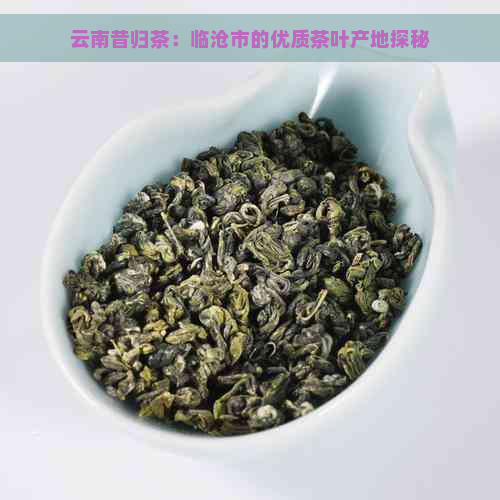 云南昔归茶：临沧市的优质茶叶产地探秘