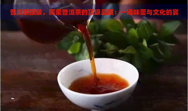 普洱茶顶级，探索普洱茶的顶级品质：一场味蕾与文化的宴