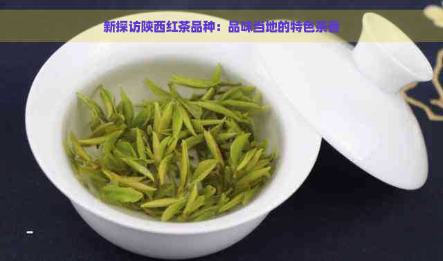 新探访陕西红茶品种：品味当地的特色茶香