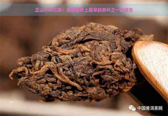 正山小种红茶：追溯世界上最早的茶叶之一的诞生